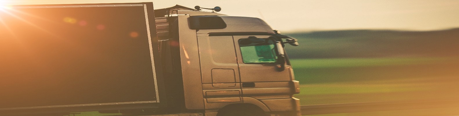 transportadora em SP